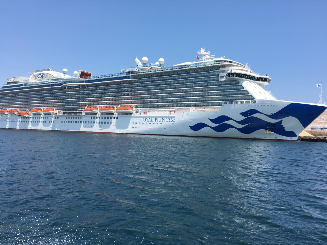 A view of the royal princess cruise ship atop a beautiful water front.